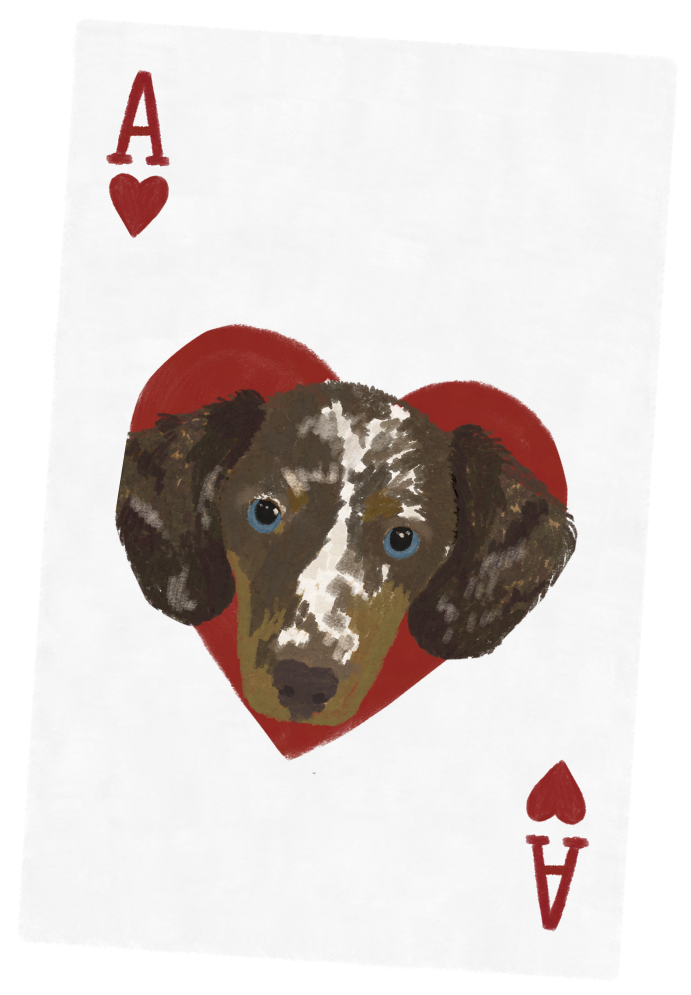 Card 1